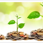 Image for Sow Your Investment Seeds